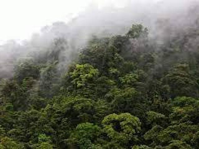 EASTERN UGANDA ACTIVITIES