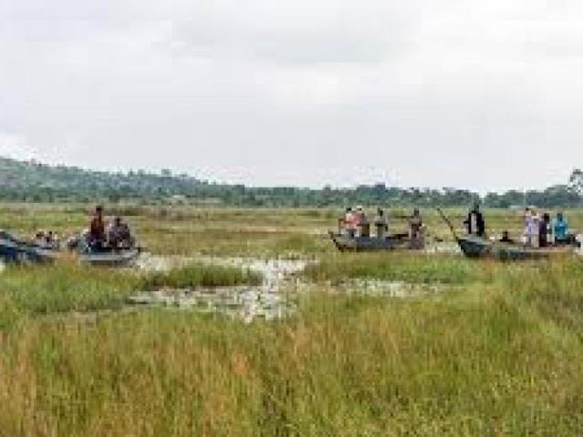 Mabamba Swamp