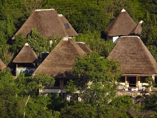 BWINDI LODGE