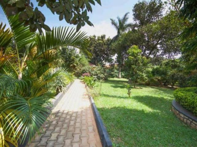 PAPYRUS GUEST HOUSE