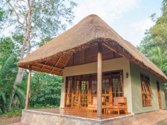 PRIMATE LODGE KIBALE